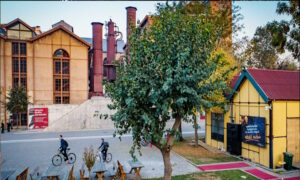 İSTANBUL (AA) – YEŞİM YÜKSEL – İstanbul Bilgi Üniversitesi Çevre,