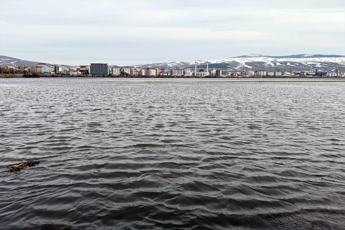 Ardahan'da Kura Nehri eriyen kar birikintileri ve sağanak nedeniyle taştı