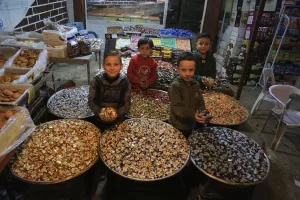 TEL ABYAD (AA) – EŞREF MUSA- Barış Pınarı Harekatı'yla terör