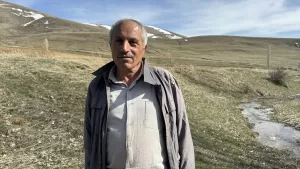 BAYBURT (AA) – Bayburt'ta ahıra götürüldüğü sırada kaçan ineğin yeri