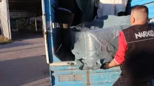 BOLU (AA) – Bolu'da düzenlenen uyuşturucu operasyonunda çekyatların içine gizlenmiş