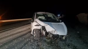 ÇORUM (AA) – Çorum'un Alaca ilçesinde sahipsiz köpeğe ve park