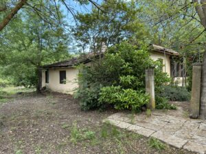 BALIKESİR (AA) – Balıkesir'in Gönen ilçesinde, geçen yıl haziran ayında