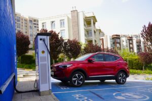 GAZİANTEP (AA) – ÖMER FARUK SALMAN – Gaziantep’te çok sayıda