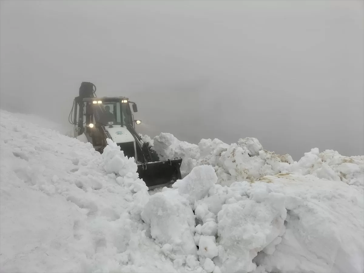 Giresun'da yayla yollarında karla mücadele devam ediyor