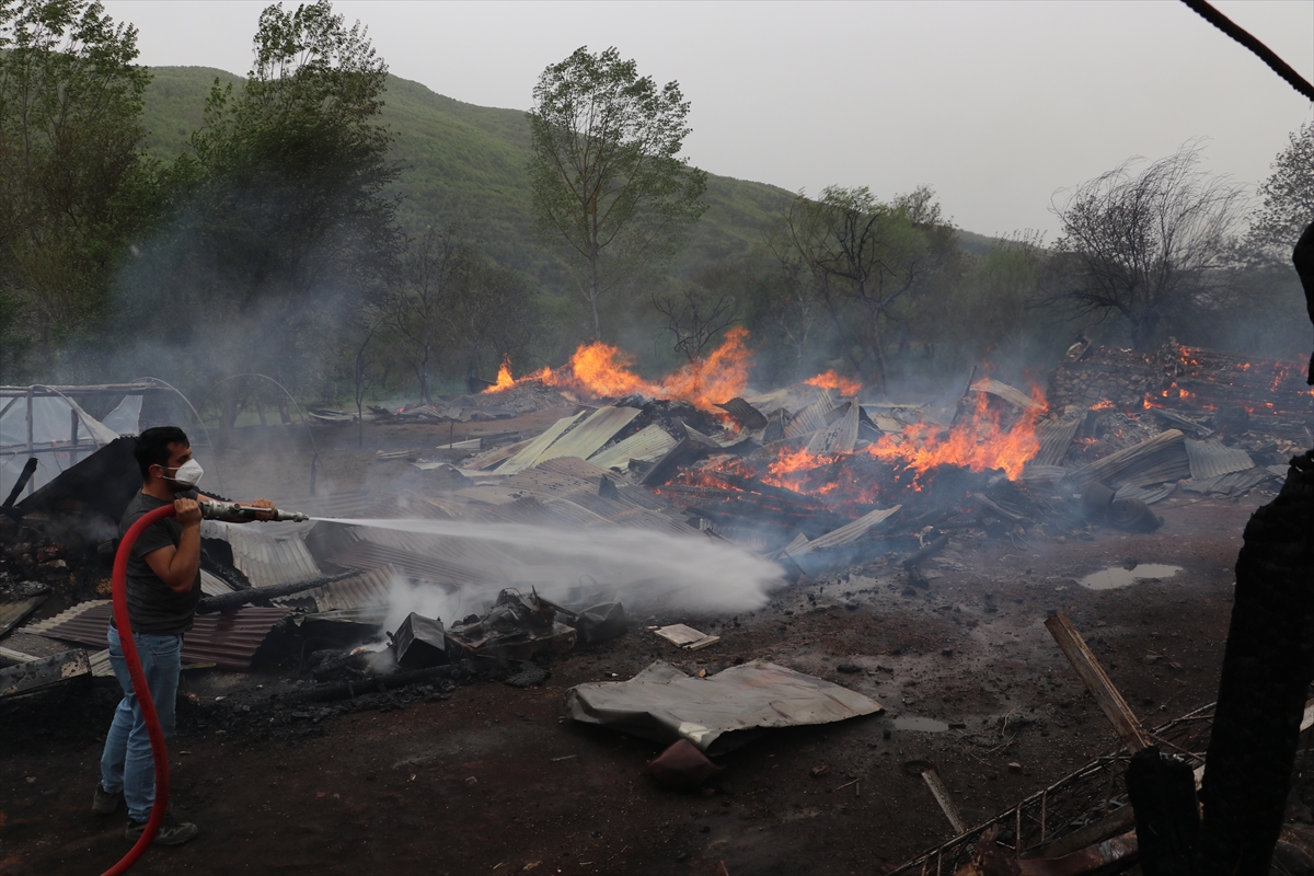 GÜNCELLEME – Kastamonu’da 2 ev, sera ve ahırlar yandı, 4 büyükbaş hayvan öldü