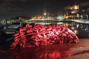 İSTANBUL (AA) – Beyoğlu'nda, kaçak midye avladığı tespit edilen 2