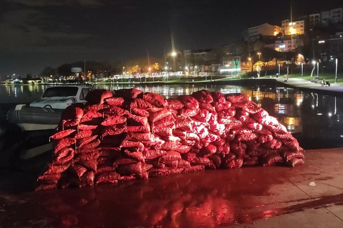İstanbul'da kaçak midye avlayan 2 şüpheliye para cezası
