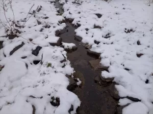 KARS (AA) – Kars'ta nisan ayında kar etkili oldu. Kentte