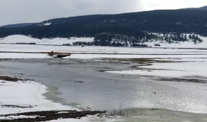 KARS (AA) – Kars'ın Sarıkamış ilçesinde, ilkbaharın etkisiyle karlar yavaş