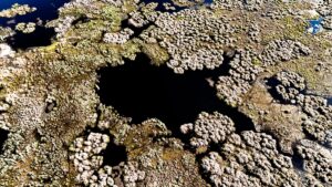 KARS (AA) – Kars'ta, kış ayında donan Çalı Gölü'nün buzları