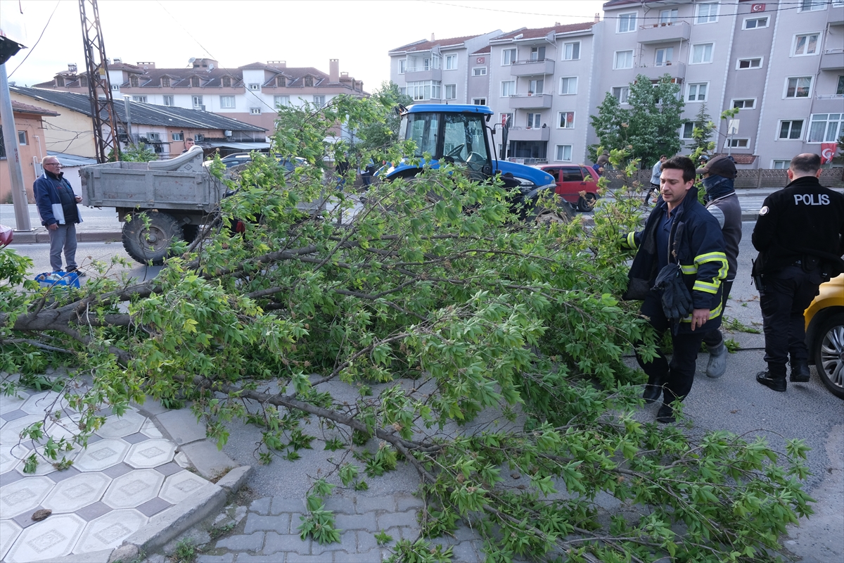 Kırklareli'nde şiddetli rüzgar etkili oldu