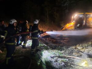 KOCAELİ (AA) – Kocaeli'nin Gölcük ilçesinde ahırda çıkan yangında 4