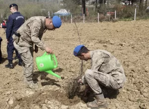 SİNOP (AA) – Sinop'ta, "Dünya Ormancılık Haftası" dolayısıyla düzenlenen törende,