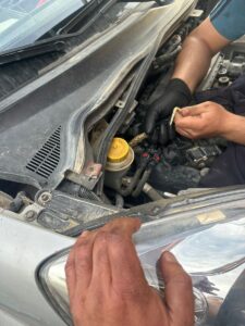 - İtfaiye görevlileri ile tamirciler, yılanı bulunduğu yerden alarak doğaya