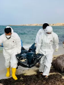 TRABLUS (AA) – Libya Kızılayı, ülkenin batısındaki Sabrata kenti açıklarında