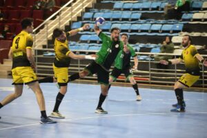 - Sakarya Büyükşehir Belediyespor: 35 - Beykoz Belediyespor: 29