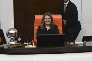 TBMM (AA) – TBMM Genel Kurulu, Başkanlık Divanı teşekkül etmediği