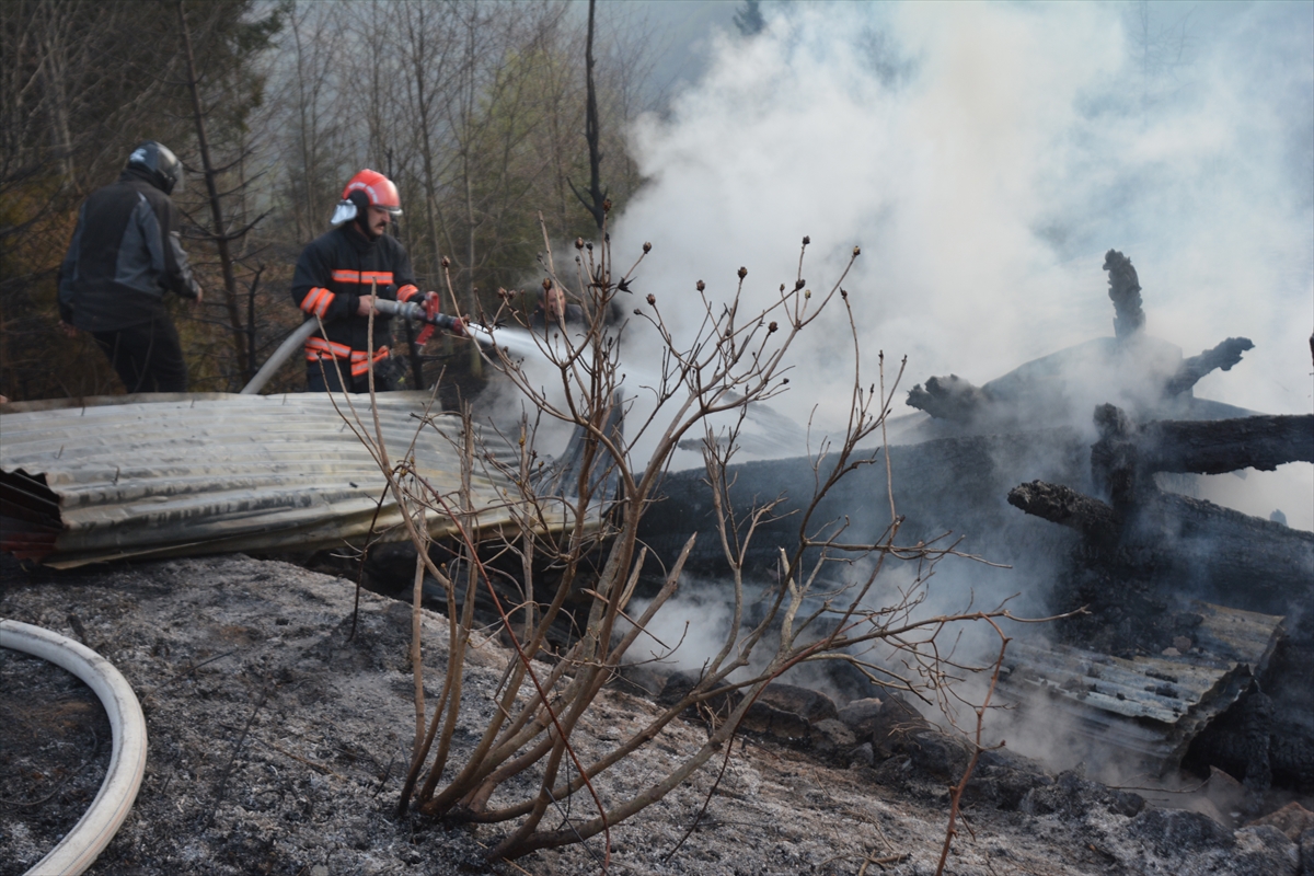 Trabzon’da mezire evinden çalılıklara sıçrayan yangın söndürüldü