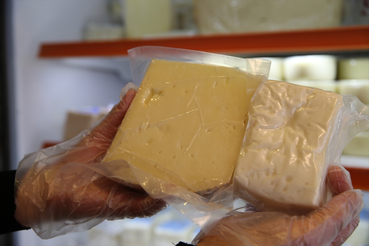 Trakya'nın coğrafi işaretli peynirlerinin tanıtımı için “peynir rotası” önerisi