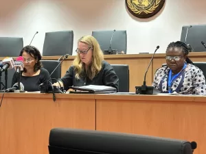 ABUJA (AA) – Birleşmiş Milletler Çocuklara Yardım Fonu (UNICEF), Nijerya'da