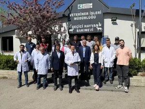 İSTANBUL (AA) – İstanbul'da sokak hayvanı popülasyonundaki artışa dikkati çeken