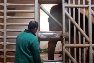 - Gaziantep Doğal Yaşam Parkı'nda görev yapan bakıcılar, sorumlu oldukları