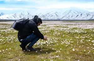 HAKKARİ (AA) – Hakkari'nin Yüksekova ilçesinde ilkbaharın gelişiyle çiçek açan