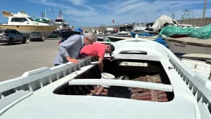 SAKARYA/ZONGULDAK/KOCAELİ (AA) – Endüstriyel avcılık yapan balıkçı gemilerini (gırgır ve