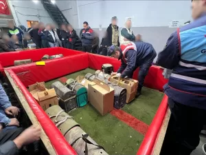 - 17 horoz sahibine de adli işlem ve 288 bin