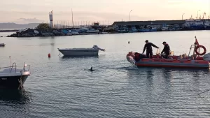 ZONGULDAK (AA) – Zonguldak'ın Karadeniz Ereğli ilçesinde liman içerisinde tekneler