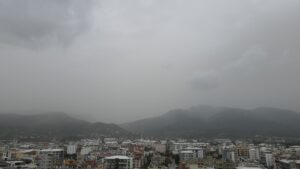 ADANA (AA) – Adana, Mersin, Hatay ve Osmaniye'de Kuzey Afrika