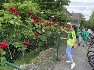 SOLİNGEN (AA) – Almanya'nın Solingen kentinde 31 yıl önce ırkçılar