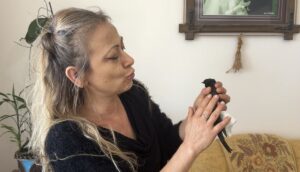 - Doğa Koruma ve Milli Parklar Müdürlüğü yetkililerine teslim edilen