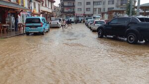 BİLECİK (AA) – Bilecik'in Pazaryeri ilçesinde aniden bastıran şiddetli yağış,