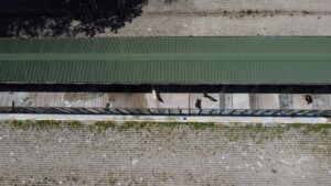 BİLECİK (AA) – Bilecik ve ilçelerinde sahipsiz köpeklerin insanlar için