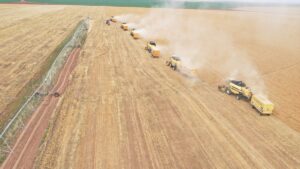 - Yaklaşık 88 bin futbol sahası büyüklüğündeki alanda 229 biçerdöver,