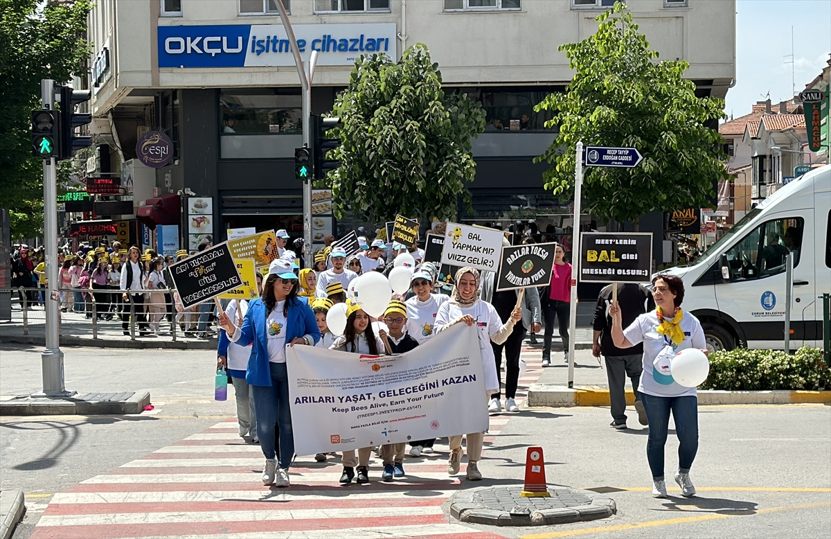 Çorum'da öğrenciler Dünya Arı Günü'nü yürüyüşle kutladı