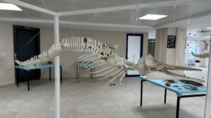 HATAY (AA) – Hatay'ın İskenderun ilçesinde 6 Şubat 2023 depremleri