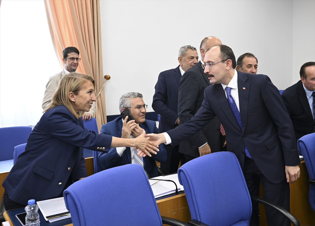 Dışişleri Teşkilatını Güçlendirme Vakfı Kanunu Teklifi, Plan ve Bütçe Komisyonunda