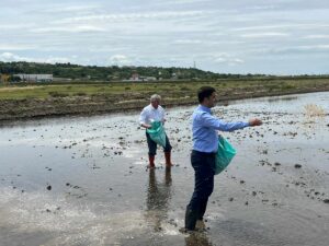 EDİRNE (AA) – Türkiye'deki çeltiğin dörtte birinin üretildiği, Edirne'nin İpsala