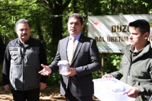 DÜZCE (AA) – Düzce'de kestane ağaçlarında gal oluşumuna neden olan