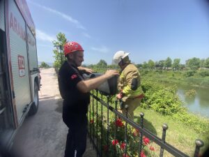 DÜZCE (AA) – Düzce'de Melen Çayı'nda mahsur kalan köpek yavrusunun