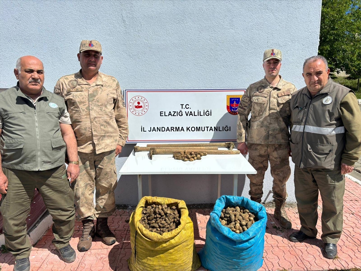 Elazığ'da 98,5 kilogram salep soğanını kaçak toplayan 4 kişi yakalandı