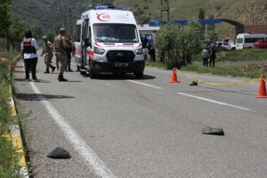 ERZURUM (AA) – Erzurum'un Şenkaya ilçesinde yolun karşısına geçerken kamyonetin