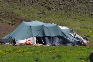 MUŞ (AA) – Kışın havanın sıcak olduğu illere giden göçerler,