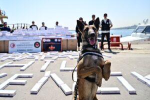 ANKARA (AA) – Ticaret Bakanlığına bağlı gümrük muhafaza ekipleri, Zeytinburnu