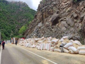 GÜMÜŞHANE (AA) – Gümüşhane'nin Kürtün ilçesinde devrilen saman yüklü tırın