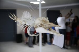 HATAY (AA) – Hatay'ın İskenderun ilçesinde hazırlanan su altı müzesi,