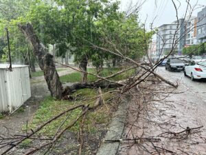 HATAY (AA) – Sağanak ve kuvvetli rüzgarın etkili olduğu Hatay